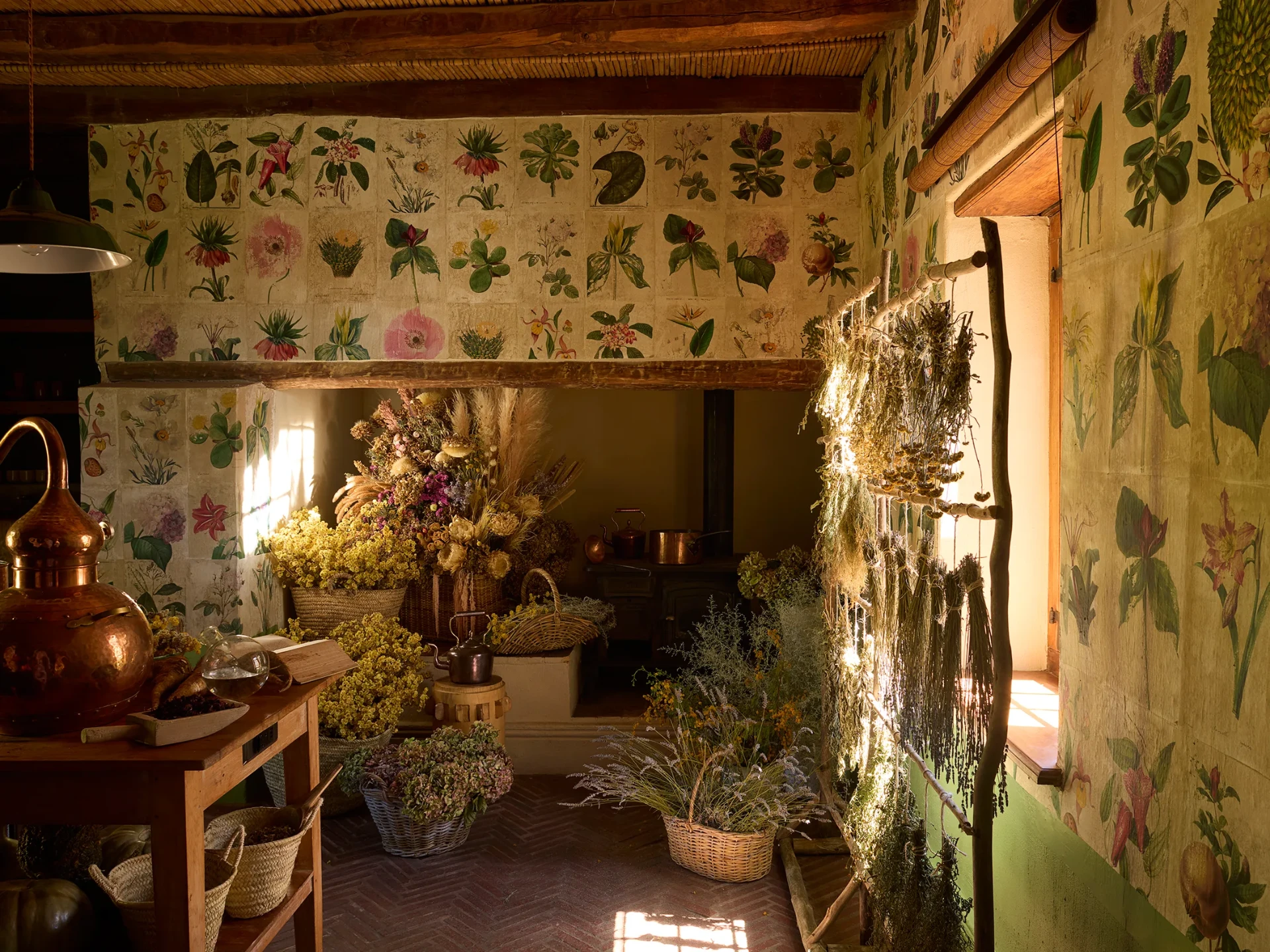 Inside Sterrekopje's Healing Farm